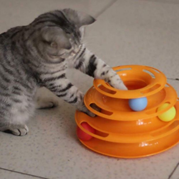 Los juguetes no pueden faltar en tu casa si tienes un gato