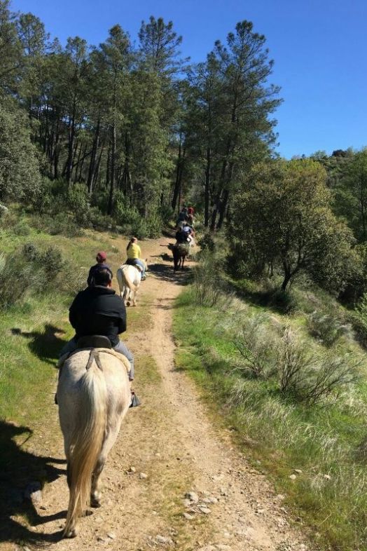 Ruta a caballo por la sierra de Gredos desde Arenas de San Pedro