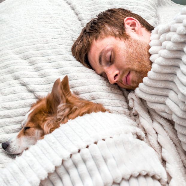 Es dormir con tu gato?