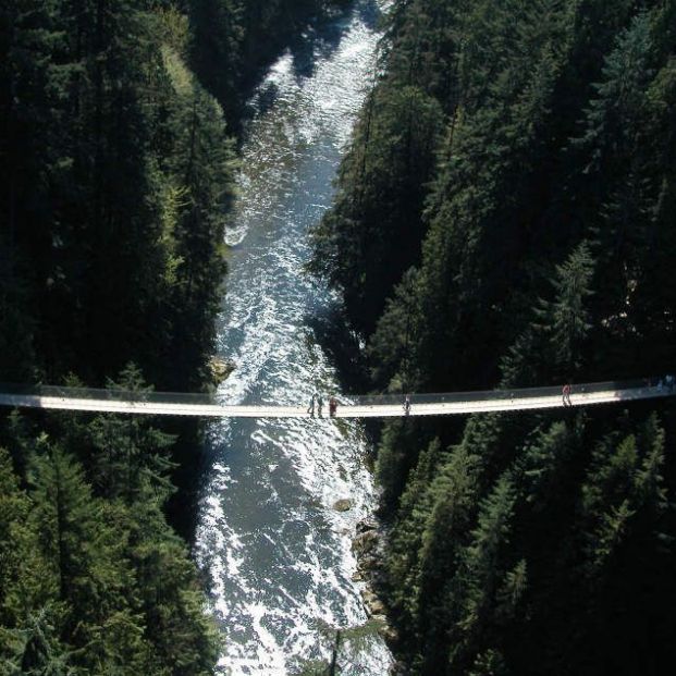 Vista Del Puente Colgante De La Suspensión Del Río Salmón En El