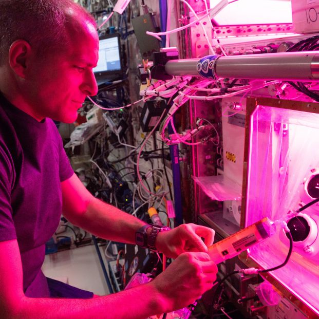Astronaut David Saint Jacques conducts botany research