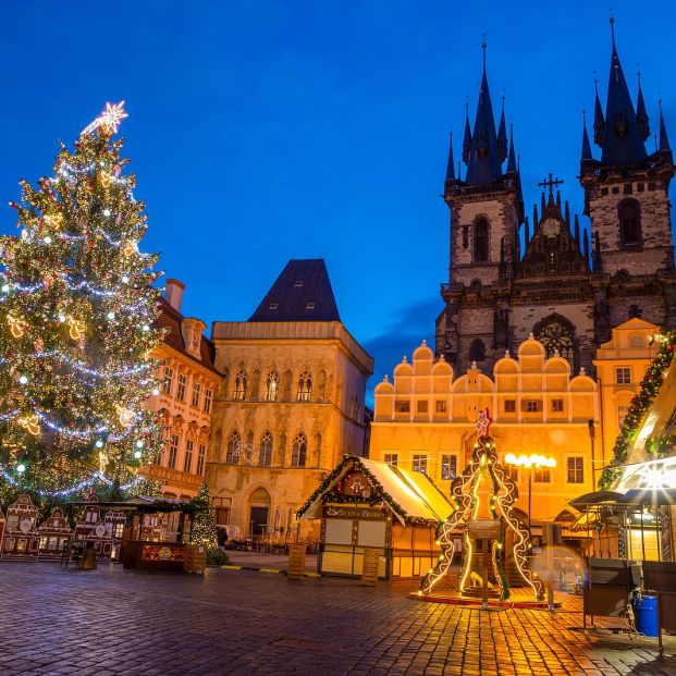 Estos son los 10 árboles de Navidad más emblemáticos del mundo Foto: bigstock