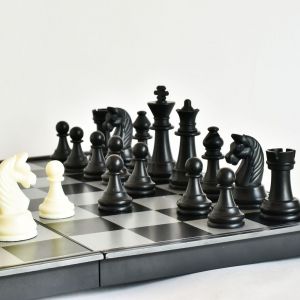 bigstock Chess Chess King Checkmate T 366804115