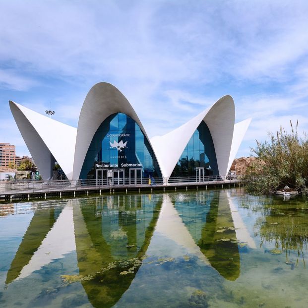 Ciudad de las Artes y las Ciencias Valencia (Bigstock)
