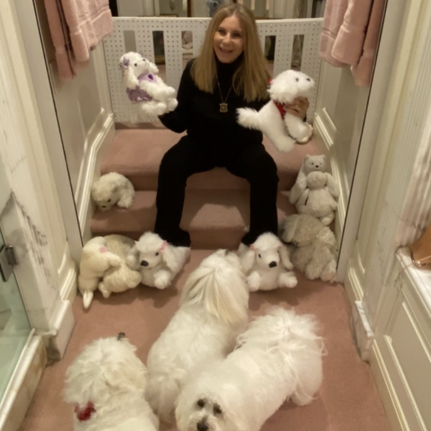 Barbra Streisan con sus perros y peluches (instagram)