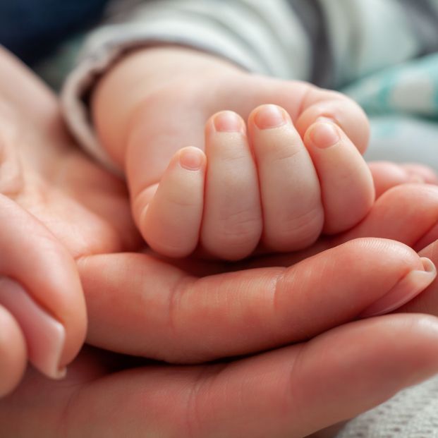 bigstock Family Baby Hands Closeup Of  415031792