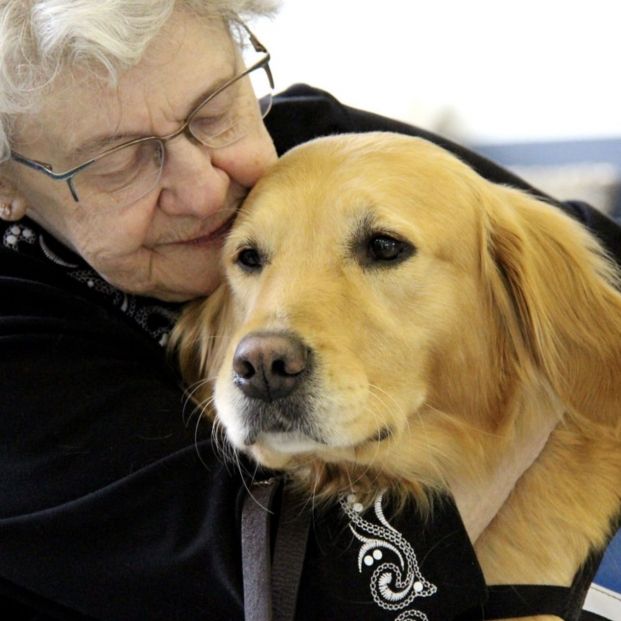 'Comfort dogs', perros entrenados para dar apoyo emocional en las situaciones de crisis (Foto: LCC K-9 Comfort Dog Ministry)