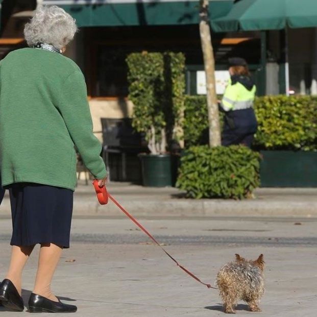 Las personas mayores con perro tienen menos probabilidades de desarrollar discapacidades físicas. Foto: Bigstock
